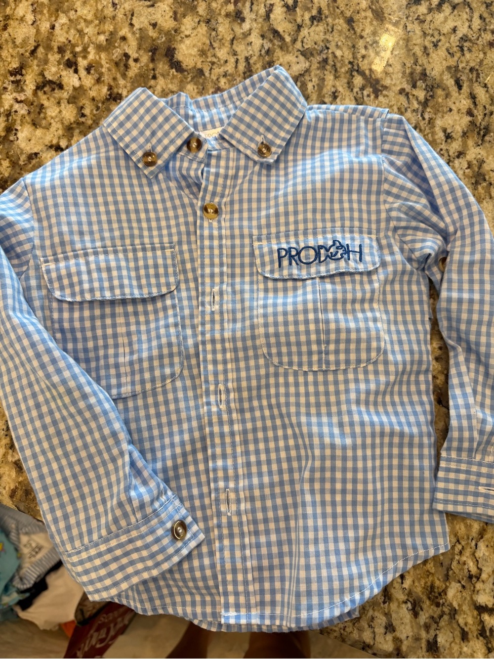 Light Blue Gingham Button-Down Shirt for Kids with Embroidered Logo